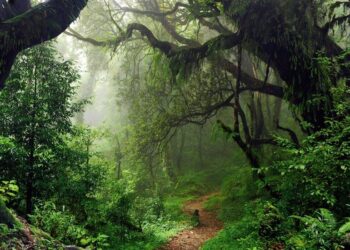“Chile en la Encrucijada Climática: desafíos ambientales y llamado a la acción”