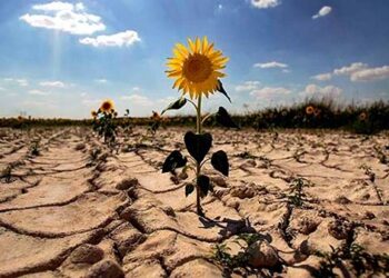 El futuro incierto que debemos enfrentar