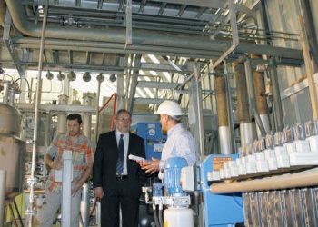 El nuevo auge del biocombustible en Sudamérica: ¿Qué pasa con el etanol en Chile?