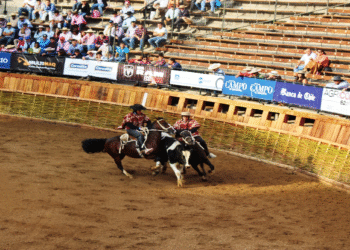 Cultores defienden el rodeo chileno, a propósito del Torneo Nacional